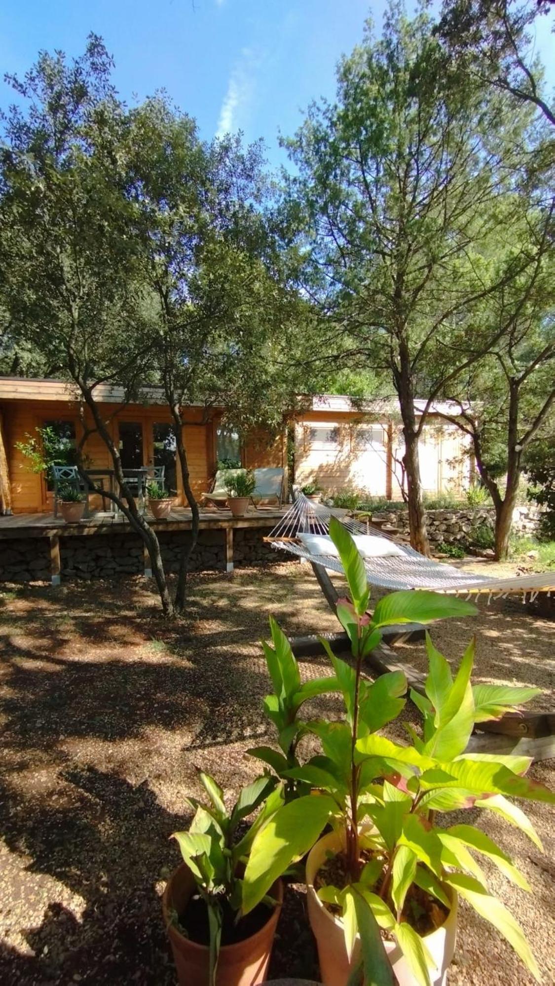 לינה וארוחת בוקר Entrecasteaux La Bergerie Des Colles מראה חיצוני תמונה