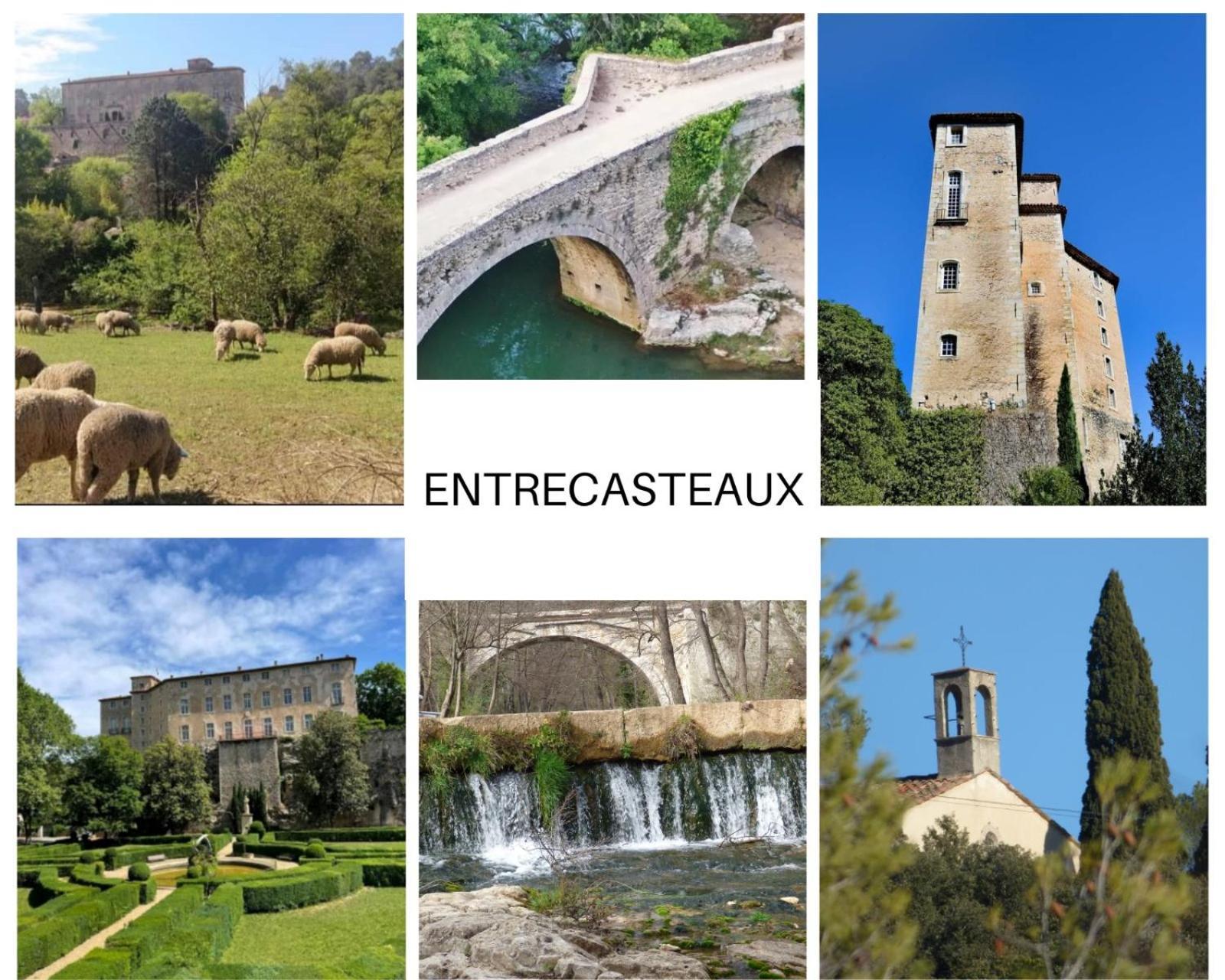 לינה וארוחת בוקר Entrecasteaux La Bergerie Des Colles מראה חיצוני תמונה