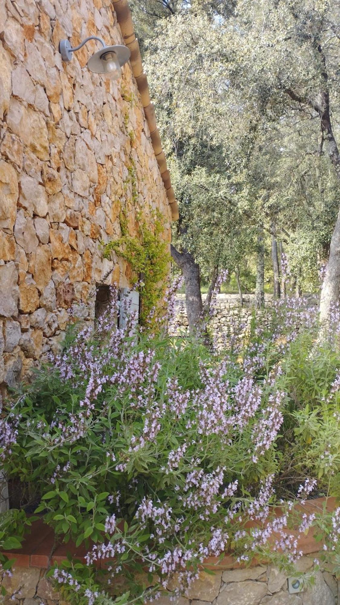 לינה וארוחת בוקר Entrecasteaux La Bergerie Des Colles מראה חיצוני תמונה
