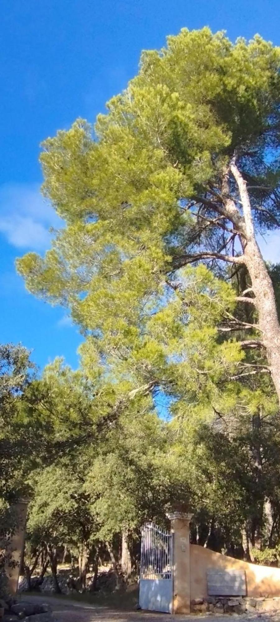 לינה וארוחת בוקר Entrecasteaux La Bergerie Des Colles מראה חיצוני תמונה